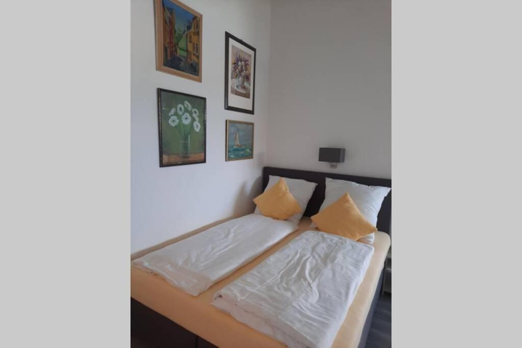 Riva - Appartement Modern - Naehe Montabaur Ruppach-Goldhausen Exteriör bild